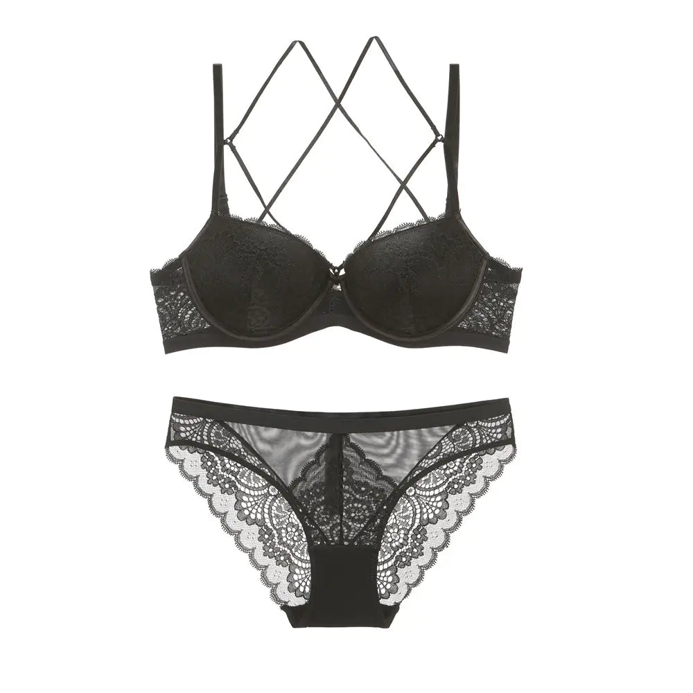 Lace Embroidered Bra and Lingerie Set (Style 5059)