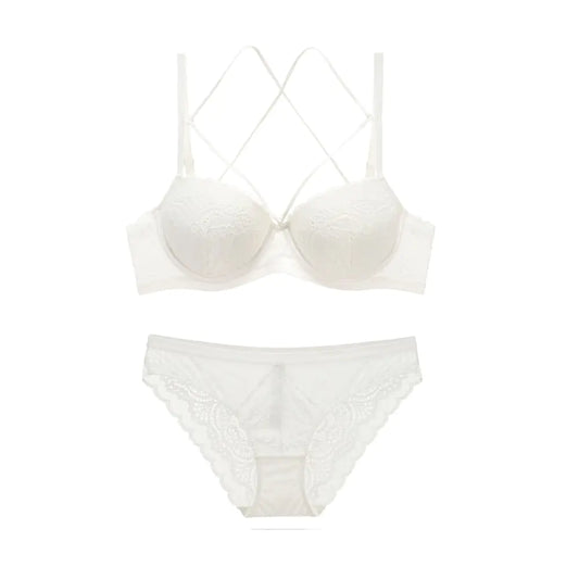 Lace Embroidered Bra and Lingerie Set (Style 5059)